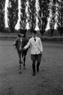 ARH NL Dierssen 0207/0008, Reittunier (Tag des Roten Kreuzes), 1949