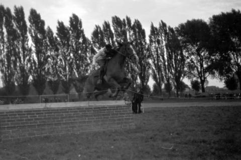 ARH NL Dierssen 0207/0015, Reittunier (Tag des Roten Kreuzes), 1949