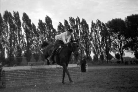 ARH NL Dierssen 0207/0016, Reittunier (Tag des Roten Kreuzes), 1949