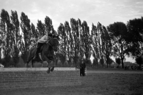 ARH NL Dierssen 0207/0017, Reittunier (Tag des Roten Kreuzes), 1949