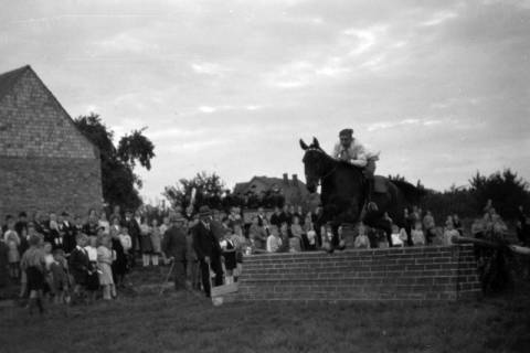 ARH NL Dierssen 0207/0023, Reittunier (Tag des Roten Kreuzes), 1949