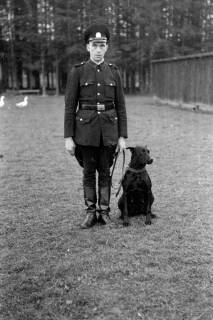 ARH NL Dierssen 0213/0017, Abrichteanstalt, Hasperde, 1949