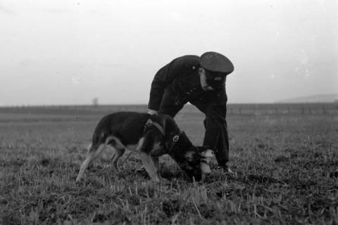 ARH NL Dierssen 0214/0003, Abrichteanstalt, Hasperde, 1949