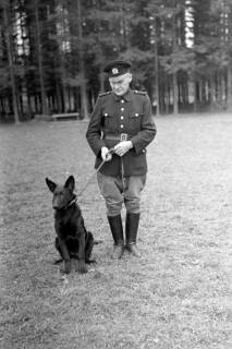 ARH NL Dierssen 0214/0008, Abrichteanstalt, Hasperde, 1949