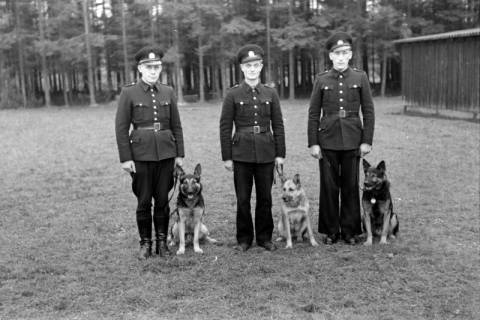 ARH NL Dierssen 0214/0010, Abrichteanstalt, Hasperde, 1949