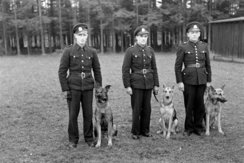 ARH NL Dierssen 0214/0011, Abrichteanstalt, Hasperde, 1949