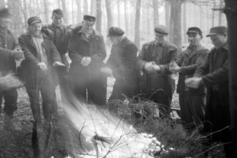 ARH NL Dierssen 0217/0008, Straßenbau, 1949