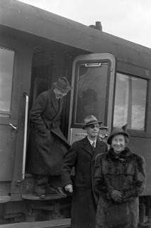 ARH NL Dierssen 1005/0019, Ausstellung "Der Wald..." (Herzog Ernst-August), 1950