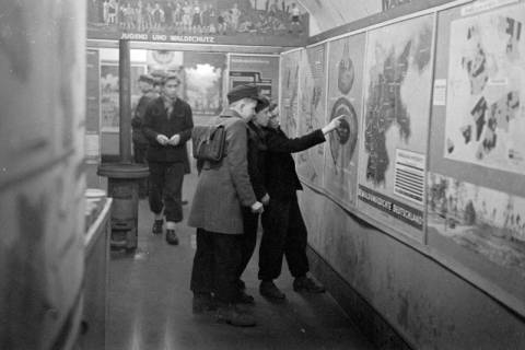 ARH NL Dierssen 1005/0026, Ausstellung "Der Wald..." (Herzog Ernst-August), 1950