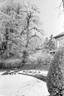 ARH NL Dierssen 1007/0011, Schnee und Reif im Garten des Landratsamtes, 1950