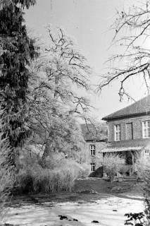ARH NL Dierssen 1007/0012, Schnee und Reif im Garten des Landratsamtes, 1950