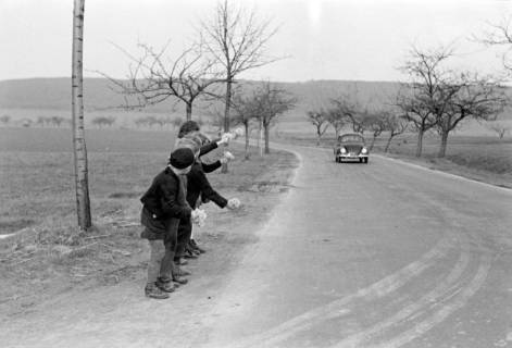 ARH NL Dierssen 1016/0001, Kinder mit Schlüsselblumen, 1950