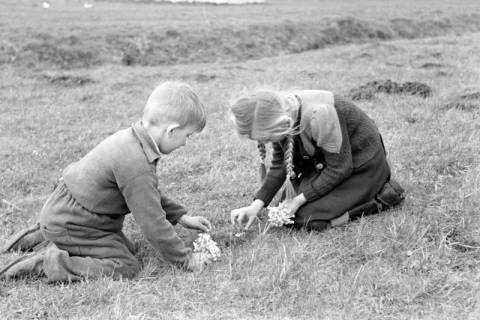 ARH NL Dierssen 1016/0005, Kinder mit Schlüsselblumen, 1950