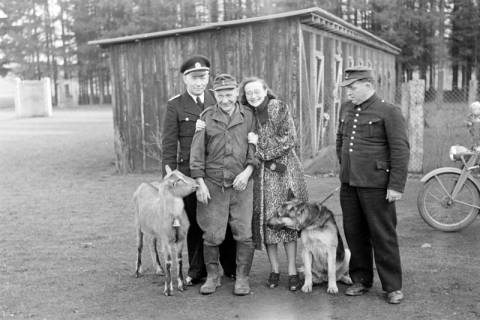 ARH NL Dierssen 1017/0001, Abrichteanstalt, 1950