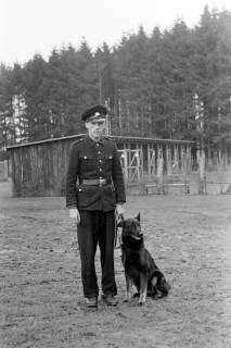 ARH NL Dierssen 1017/0005, Abrichteanstalt, 1950