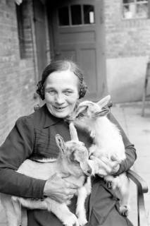 ARH NL Dierssen 1019/0021, Familie Eilert mit Tieren, 1950