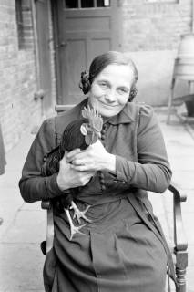 ARH NL Dierssen 1019/0022, Familie Eilert mit Tieren, 1950