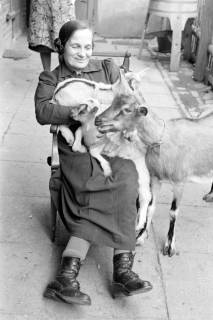 ARH NL Dierssen 1019/0024, Familie Eilert mit Tieren, 1950