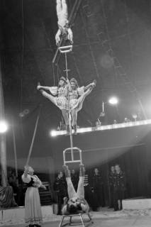 ARH NL Dierssen 1020/0016, Zirkus Althoff, 1950