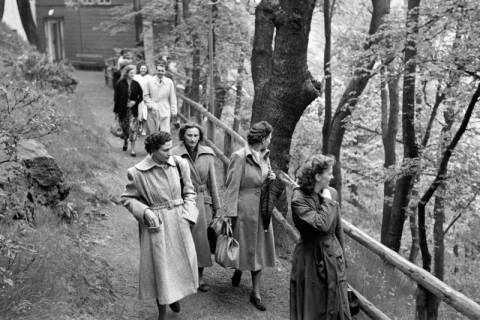 ARH NL Dierssen 1025/0005, Ausflug mit dem Niedersachsen Tanz-Express nach Bad Harzburg, 1950