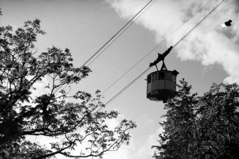 ARH NL Dierssen 1027/0013, Ausflug mit dem Niedersachsen Tanz-Express nach Bad Harzburg - Seilbahn, 1950