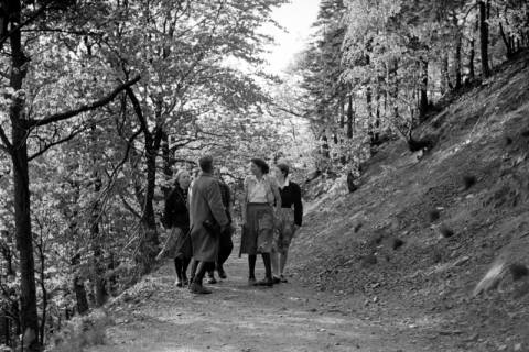 ARH NL Dierssen 1027/0014, Ausflug mit dem Niedersachsen Tanz-Express nach Bad Harzburg, 1950