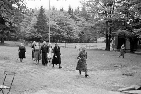 ARH NL Dierssen 1028/0015, An der Sennhütte im Osterwald, 1950