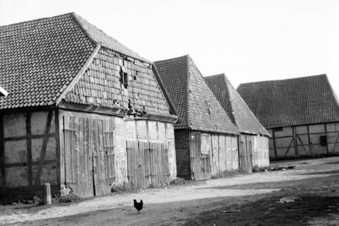 ARH NL Dierssen 1035/0001, Unbekannte Gebäude, Pattensen, 1950