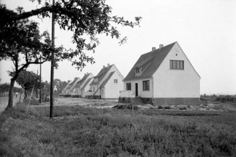ARH NL Dierssen 1036/0020, Siedlung, Rössing, 1950