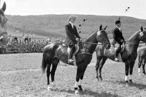 ARH NL Dierssen 1046/0015, Reitturnier, Springe, 1950