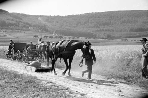 ARH NL Dierssen 1046/0017, Reitturnier, Springe, 1950