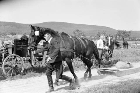 ARH NL Dierssen 1046/0019, Reitturnier, Springe, 1950