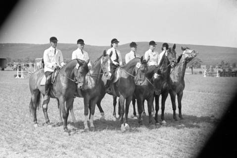ARH NL Dierssen 1046/0024, Reitturnier, Springe, 1950