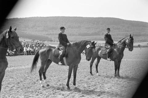 ARH NL Dierssen 1046/0026, Reitturnier, Springe, 1950