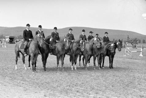 ARH NL Dierssen 1046/0030, Reitturnier, Springe, 1950