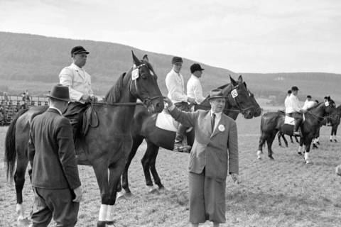 ARH NL Dierssen 1047/0002, Reitturnier, Springe, 1950