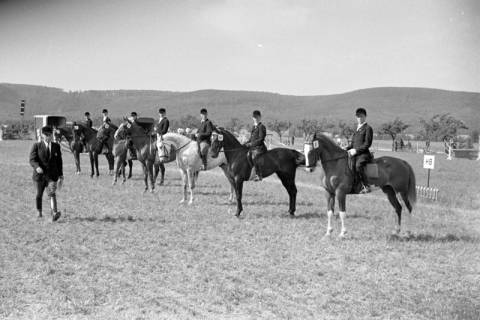 ARH NL Dierssen 1047/0005, Reitturnier, Springe, 1950