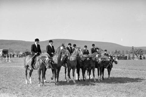 ARH NL Dierssen 1047/0007, Reitturnier, Springe, 1950