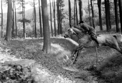 ARH NL Dierssen 1047/0009, Reitturnier, Springe, 1950