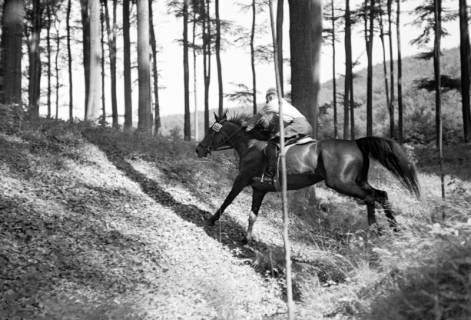 ARH NL Dierssen 1047/0014, Reitturnier, Springe, 1950