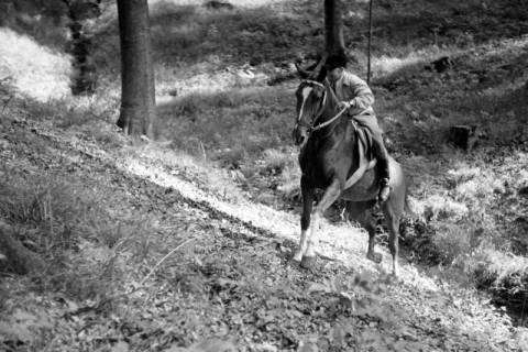 ARH NL Dierssen 1047/0016, Reitturnier, Springe, 1950