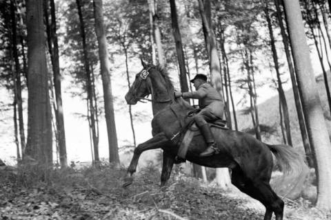ARH NL Dierssen 1048/0007, Reitturnier, Springe, 1950