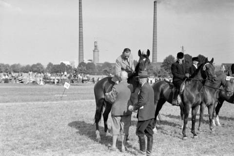 ARH NL Dierssen 1048/0014, Reitturnier, Springe, 1950