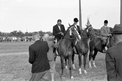 ARH NL Dierssen 1048/0018, Reitturnier, Springe, 1950