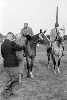 ARH NL Dierssen 1048/0019, Reitturnier, Springe, 1950