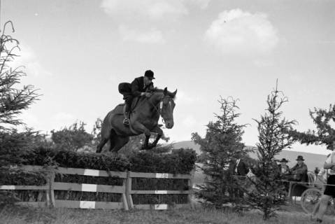 ARH NL Dierssen 1048/0023, Reitturnier, Springe, 1950