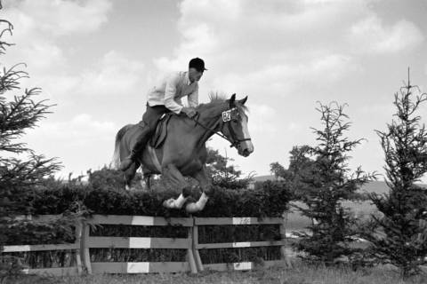 ARH NL Dierssen 1049/0003, Reitturnier, Springe, 1950