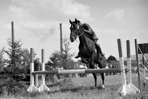 ARH NL Dierssen 1049/0004, Reitturnier, Springe, 1950