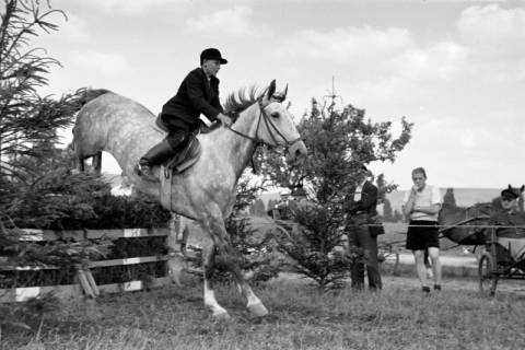 ARH NL Dierssen 1049/0006, Reitturnier, Springe, 1950