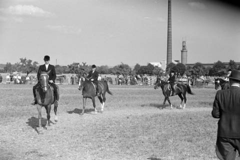 ARH NL Dierssen 1049/0015, Reitturnier, Springe, 1950